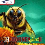 Spinlord Dornenglanz II (trava)